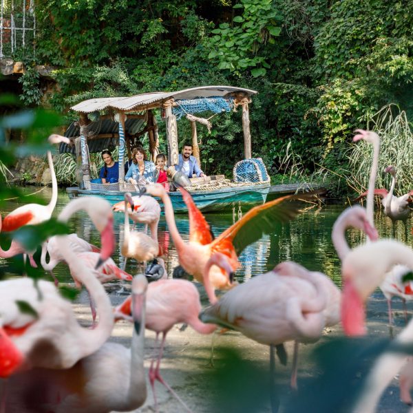 Erlebnis-Zoo Hannover